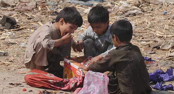 秋思短信轰炸平台